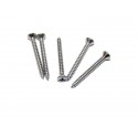 Schaller LK-screw 6022