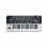Roland Gaia SH-01