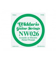 D-Addario NW026