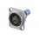 Neutrik NBB75DFI