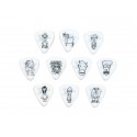Planet Waves 1CWH4-10JS