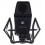 SE Electronics 4400A