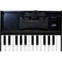 Roland K-25m