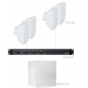 Audac Festa 4.5E W