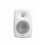 Genelec 4030C