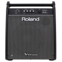 Roland PM-200