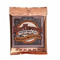 Ernie Ball 2146 Earthwood Phosphor Bronze M/L