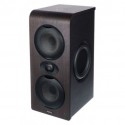 Focal Shape Twin