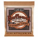 Ernie Ball 2153 EARTHWOOD PHOSPHOR BRONZE 12 STRING LIGHT 9-46