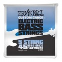 Ernie Ball 2810 FLATWOUND BASS 5 STRING 45-130