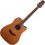 Takamine GD20CE-NS