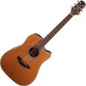 Takamine GD20CE-NS