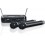LD Systems ECO 2 HHD 1 Dual