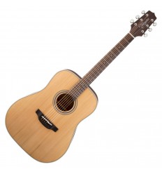 Takamine GD20-NS
