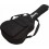 Ibanez ICB101