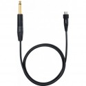 Shure WA 305