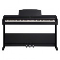 Roland RP 102