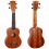 Flight NUS310