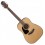 Takamine GD10LH-NS