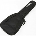 Ibanez IBB101
