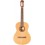 Prodipe Guitars Student 4/4
