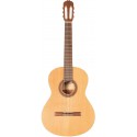 Prodipe Guitars Student 4/4