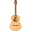 Prodipe Guitars Student 4/4