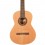 Prodipe Guitars Student 4/4