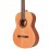 Prodipe Guitars Student 4/4