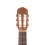 Prodipe Guitars Student 4/4