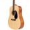 Prodipe Guitars SD25 Dreadnought