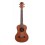 Prodipe Guitars BT3