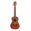 Prodipe Guitars BC210