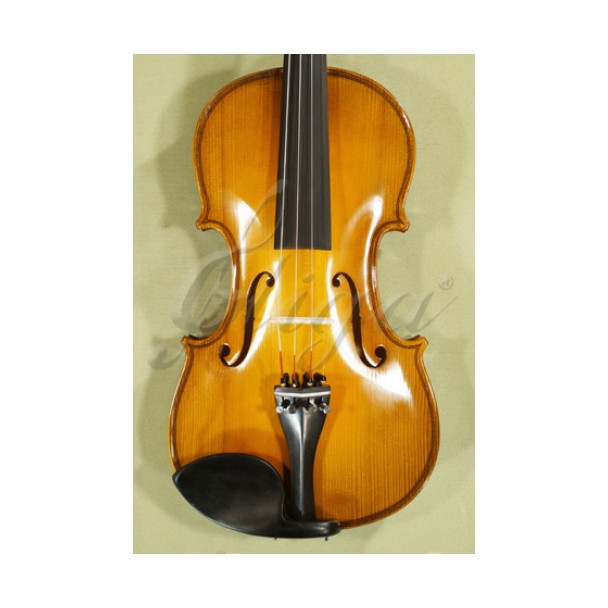 Gliga Vioara 3/4 Genial 2 (incepator) - Lac Nitro Vioara - Zeedo Shop