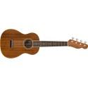 Fender Zuma Concert Ukulele NT