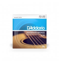 D-Addario EJ16