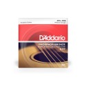 D-Addario EJ17