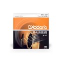 D-Addario EJ10