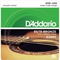 D-Addario EZ890