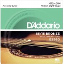 D-Addario EZ920