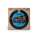 D-Addario EJ46