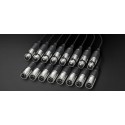 Alva Audio 8 x XLR - 8 x XLR 5M