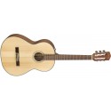 Fender CN-60S NT