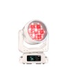 Elation Proteus Rayzor 760 WMG IP