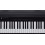 Roland GO Piano 88