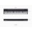Roland GO Piano 88