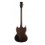 Prodipe Guitars GS300 BR