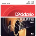 D-Addario EJ12