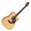 Takamine GD10CE-NS