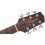 Takamine GD10CE-NS